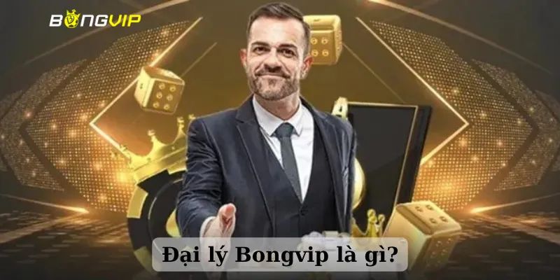 Đại Lý Bongvip - Cơ Hội Kiếm Tiền Hấp Dẫn Dành Cho Dân Cá Cược